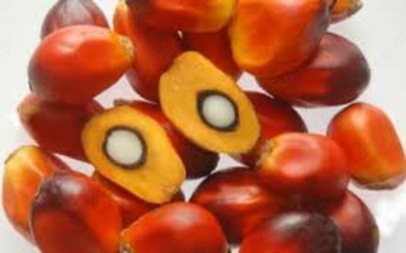 Красное пальмовое масло CAROTINO -