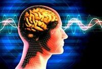 КАПСУЛЫ DORMIR ДЛЯ УЛУЧШЕНИЯ ПАМЯТИ: ПОВЫСЬТЕ РАБОТОСПОСОБНОСТЬ СВОЕГО МОЗГА! - 97 000 сум