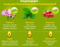 297 000 сум ГИПЕРТОФОРТ GIPERTOFORT – НАТУРАЛЬНЫЙ ЭФФЕКТИВНЫЙ ПОМОЩНИК В БОРЬБЕ С ПОВЫШЕННЫМ ДАВЛЕНИЕМ