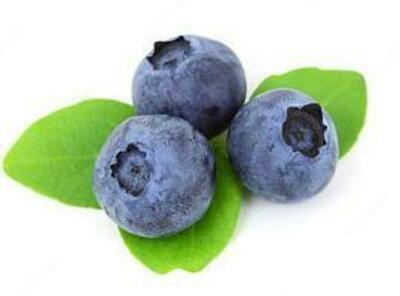 "Ko'k-ajdarning ko'zi" ko'rishni yaxshilash uchun balzam