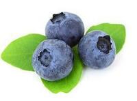 "Ko'k-ajdarning ko'zi" ko'rishni yaxshilash uchun balzam - 99 000 so'm