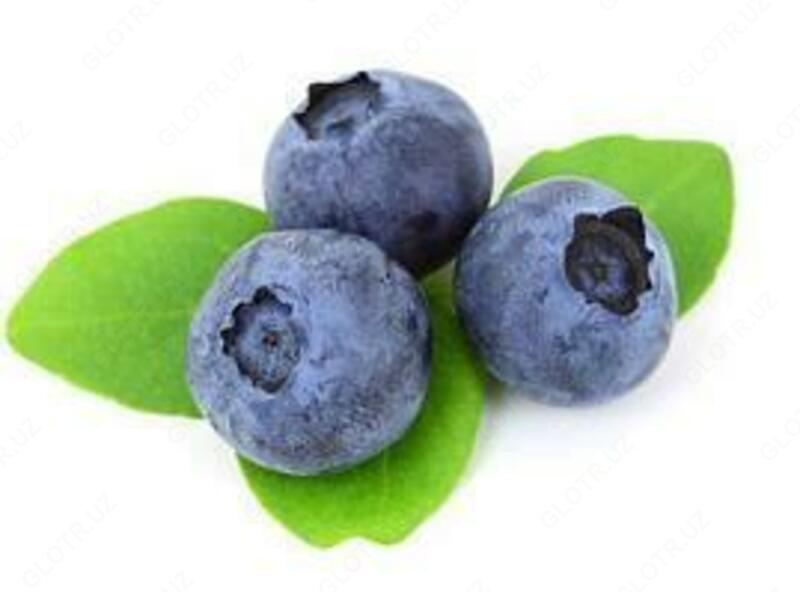 "Ko'k-ajdarning ko'zi" ko'rishni yaxshilash uchun balzam