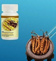 DXN Cordyceps