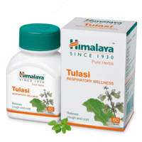 Himalaya Tulasi