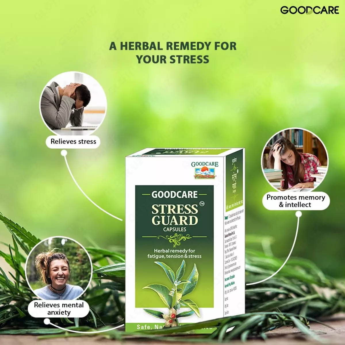 Buy Goodcare From the house of Baidyanath Stress Guard - 60 Capsules  Online at Low Prices in India - Amazonin