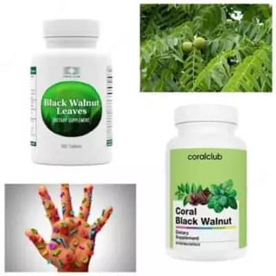 Coral Club tomonidan qora yong'oq