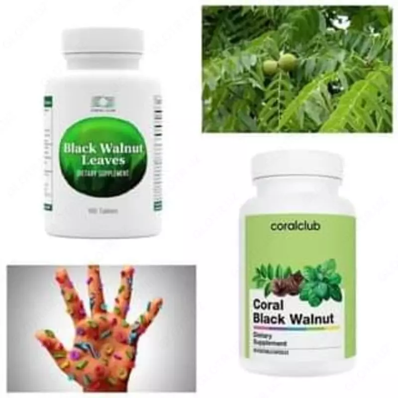 Coral Club tomonidan qora yong'oq