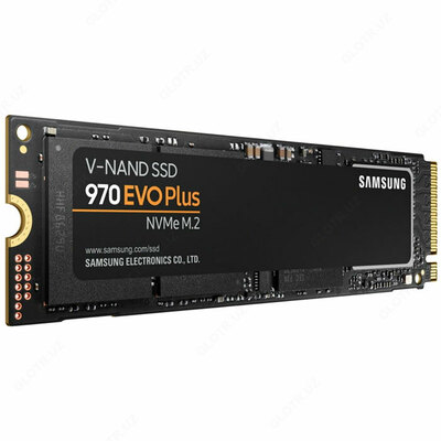 SSD Samsung 250GB 970 EVO Plus M2 NVME (MZ-V7S250BW) - Цена по запросу