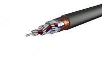 PVX izolyatsiyasi bilan boshqarish kabeli KVBbShvng (A) 10x6.0