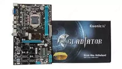 MB Esonic B250-BTC Gladiators DDR3 LGA1151 (распродажа) MB Esonic B250-BTC Gladiators DDR3 LGA1151 (распродажа)