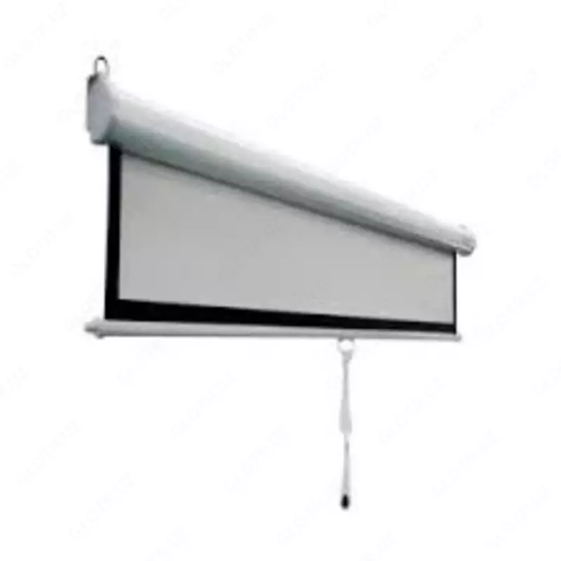 Экран для проектора (моторизированный) (4