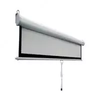Экран для проектора (моторизированный) (4