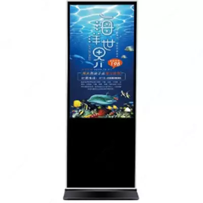 Интерактивный инфокиоск EV55W