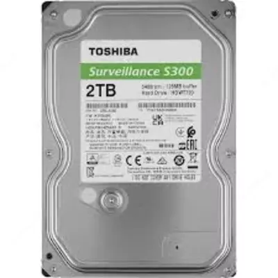 Yosh mushukning yaqindan olingan surati