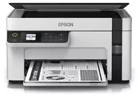 Printer Epson M2110 (A4