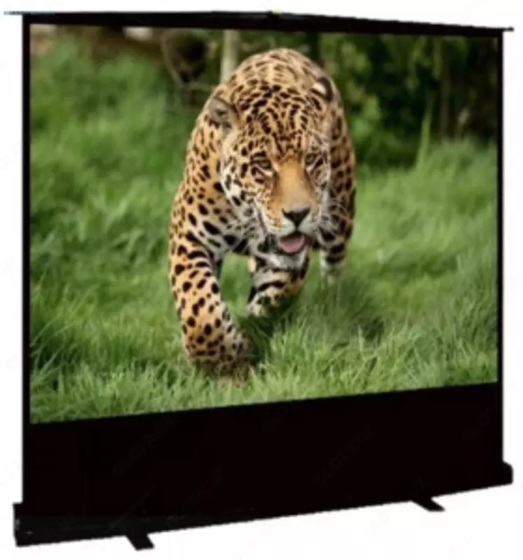 Экран проекционный переносной FS-POST-100D - 2 665 000 сум