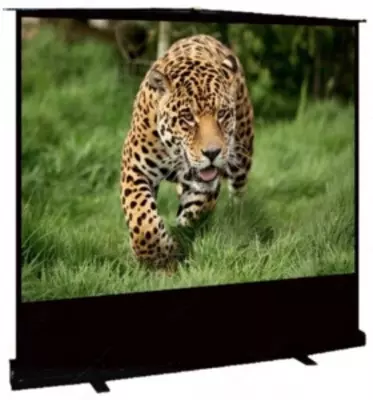 Экран проекционный переносной FS-POST-100D - 2 665 000 сум / шт.