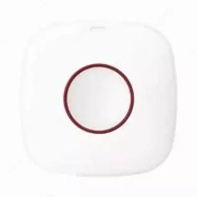 DS-PDEB1-EG2-WB(Тревожная кнопка)