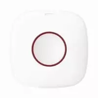 DS-PDEB1-EG2-WB(Тревожная кнопка)