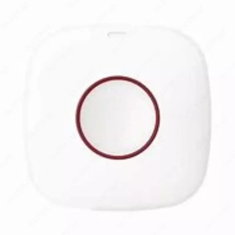 DS-PDEB1-EG2-WB(Тревожная кнопка)