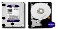 HDD - Диск - 8 Tb WD - Purple - (Фиолетовый) WD80PURX-78 для видеонаблюдения - HIKVISION - ( RES ) 👉 HITECH PRO | IT-оборудование и видеонаблюдение по всему Узбекистану