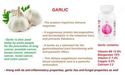 Чеснок (Garlik) от компании купить в Ташкенте - 179 000 сум / упаковка