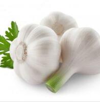 179 000 сум Чеснок (Garlik) от компании купить в Ташкенте