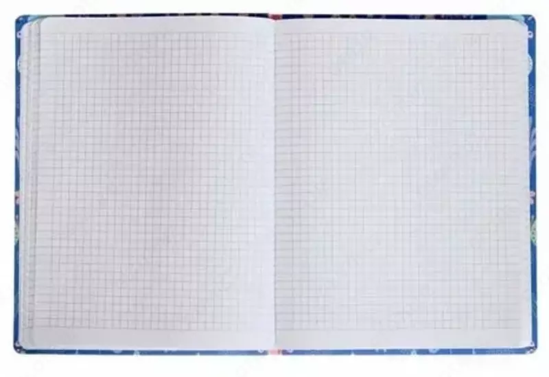   Бизнес - блокнот BG Лайт Печеньки-пончики А5  64 л (Арт. - ББ5и64_лм_бл_648)