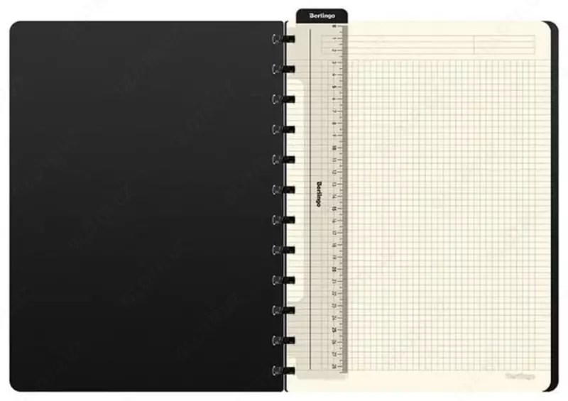  Бизнес - тетрадь Berlingo Instinct А4+  80 л  на кольцах (Арт. - RNt_A4102) Зеленая мята - 