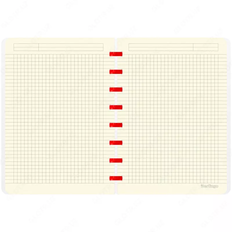   Бизнес - тетрадь Berlingo Ad Astra А5+  80 л  на кольцах (Арт. - RNt_A5S10) Синяя