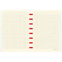   Бизнес - тетрадь Berlingo Ad Astra А5+  80 л  на кольцах (Арт. - RNt_A5S10) Синяя