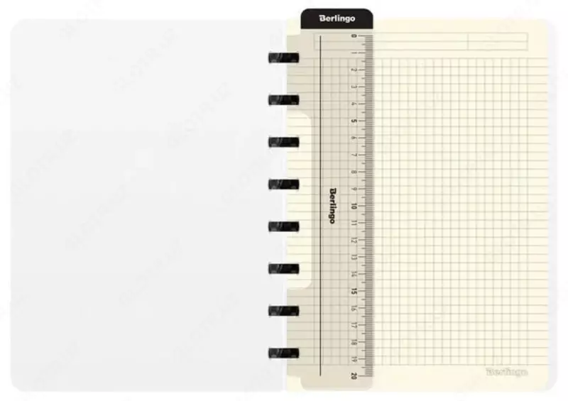  Бизнес - тетрадь Berlingo First in Space А5+  80 л  на кольцах (Арт. - RNt_A5201) Ассорти - 