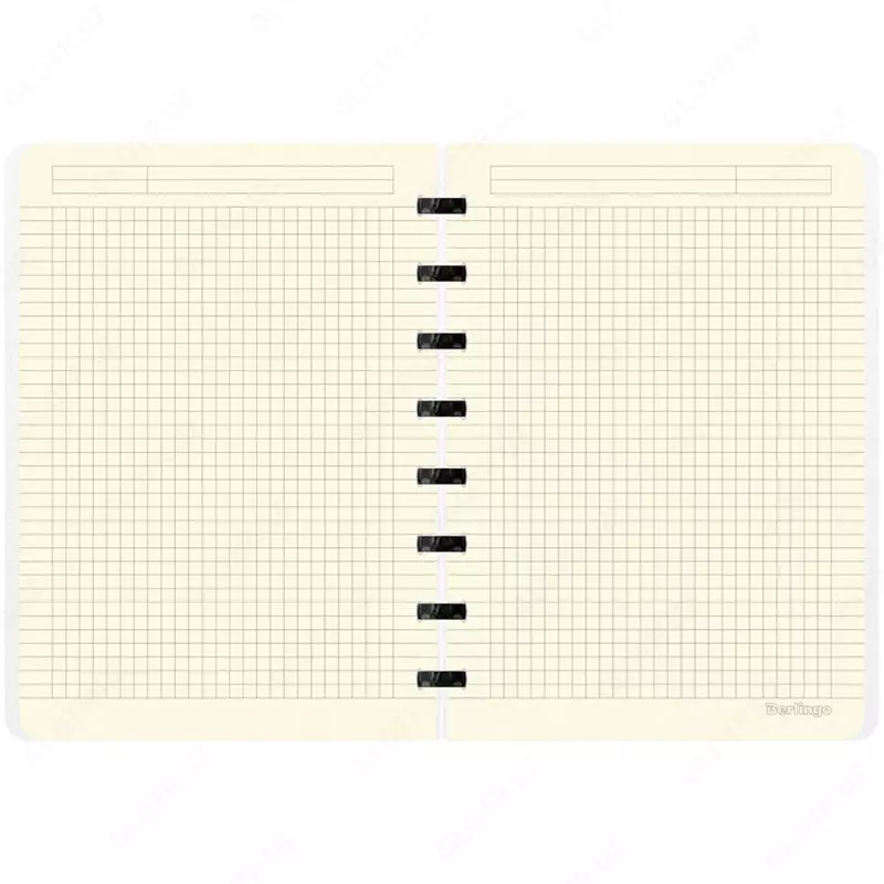   Бизнес - тетрадь Berlingo Gradient А5+  80 л  на кольцах (Арт. - RNt_A5704) Ассорти