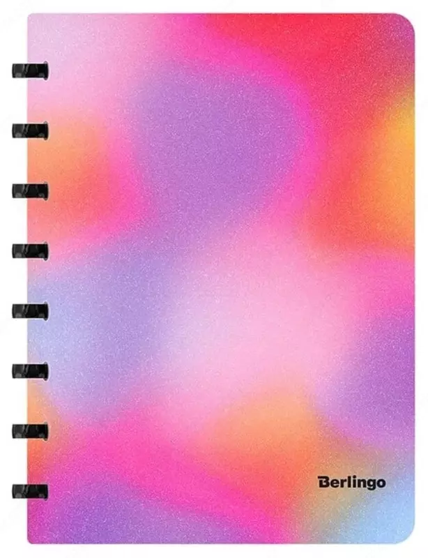 Бизнес - тетрадь Berlingo Gradient А5+  80 л  на кольцах (Арт. - RNt_A5701) Ассорти