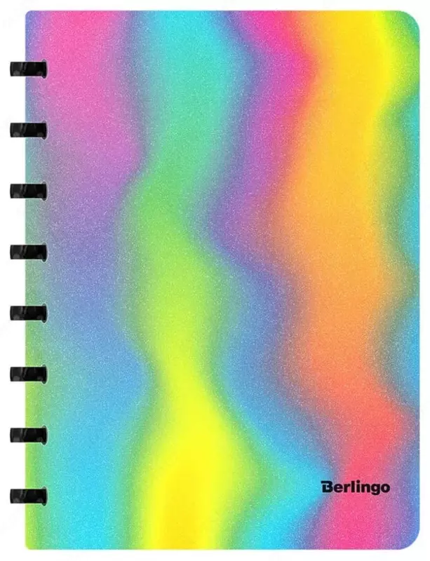 Бизнес - тетрадь Berlingo Gradient А5+  80 л  на кольцах (Арт. - RNt_A5703) Ассорти