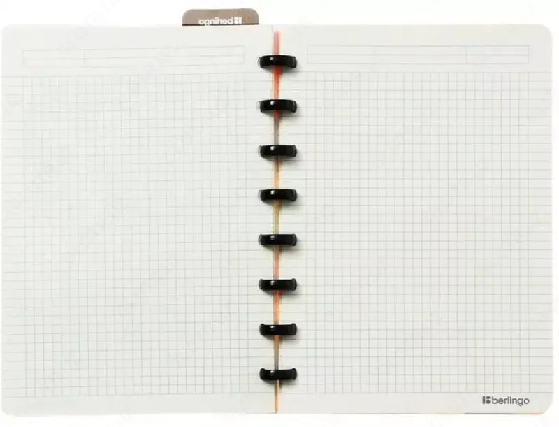   Бизнес - тетрадь Berlingo Groovy А5+  80 л  на кольцах (Арт. - RNt_A5S15) Ассорти