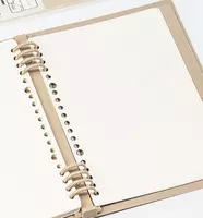   Сменный блок для Бизнес - тетради Deli А5  50 л (Арт. - 311-NS) Точка