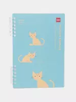 Блокнот с обложкой и пружинно-спиральным креплением Deli А5  50 л (Арт. - 206-EN) Ассортимент