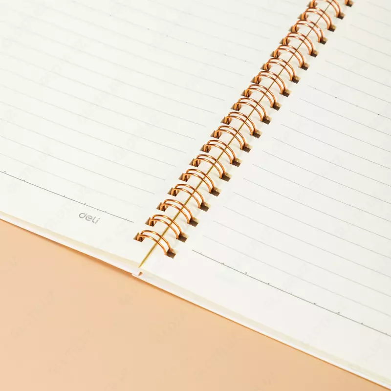  Блокнот с обложкой и пружинно-спиральным креплением Deli LARVA Личинки  В5  60 л (Арт. - 560-ELB-LX-12) Линия - 