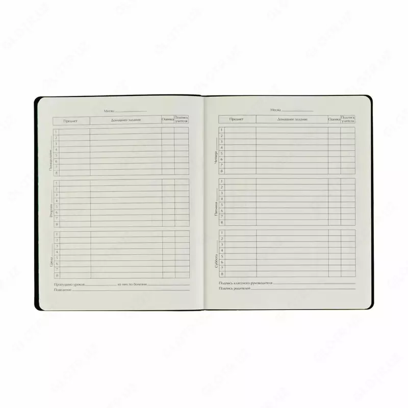   Школьный дневник BG Super girl 1-11 кл  шелкография  твердый (Арт. - Дтк5т48_11541)