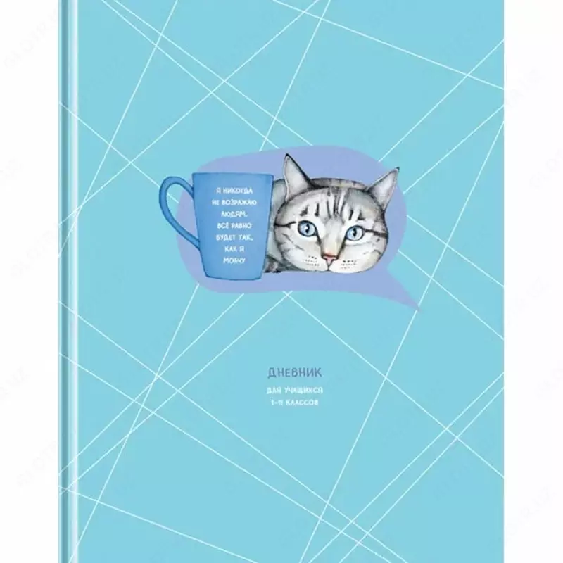 Школьный дневник BG Будет по-моему 1-11 кл  ламинация  твердый (Арт. - Д5т48_лм_11505)