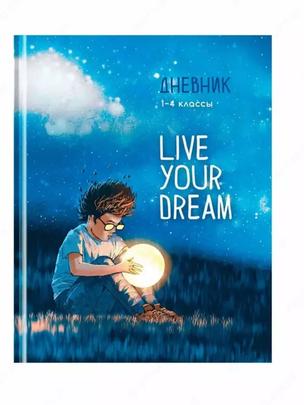 Школьный дневник ArtSpace Живи своей мечтой 1-4 кл  ламинация  твердый (Арт. - Дм48т_49043)