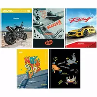 Школьный дневник BG Mix-5. Мальчики 1-4 кл  ламинация  твердый (Арт. - Д5т48_лг_11383)