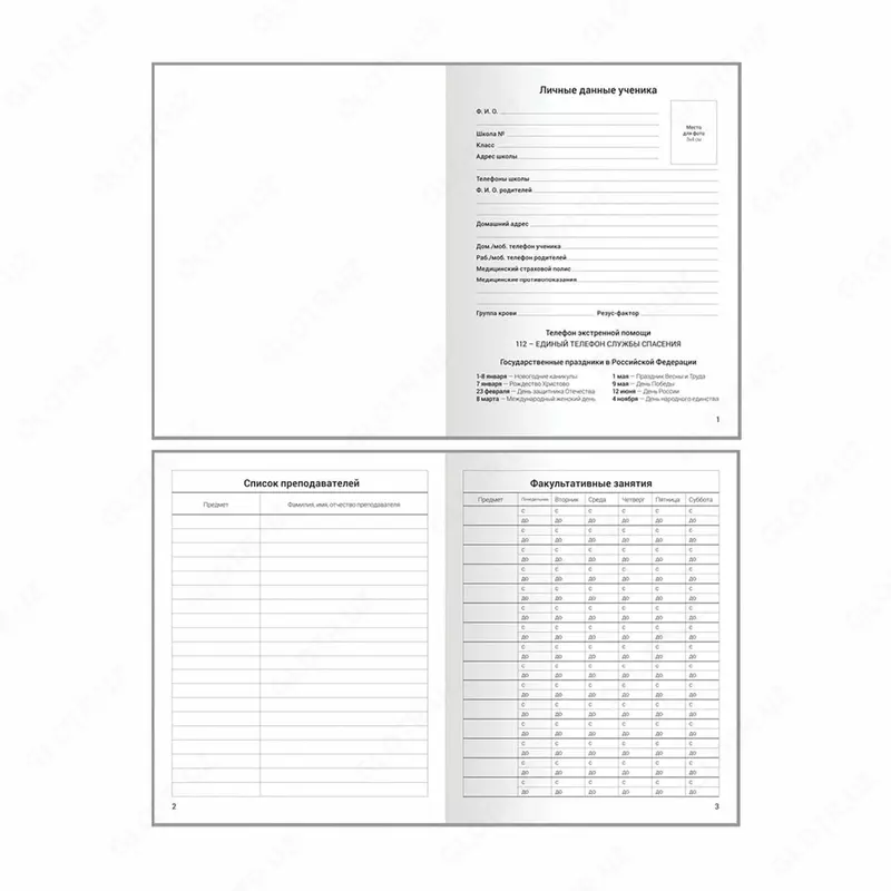  Школьный дневник ArtSpace Тропические фрукты 5-11 кл  ламинация  твердый (Арт. - Дс48т_49047) Только в розницу