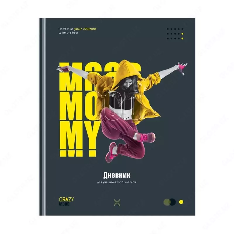 Школьный дневник BG Crazy mood 5-11 кл  ламинация  твердый (Арт. - Д5т48лмвл11433)