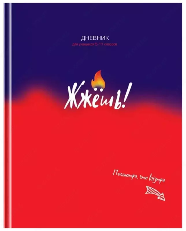 Школьный дневник BG Жжешь! 5-11 кл  ламинация  твердый (Арт. - Д5т48_лм_11428)