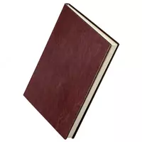  Ежедневник для записей (линия) Deli иск. кожа  195 х 270 мм  160 л (Арт. - 3306-br) Коричневый - 