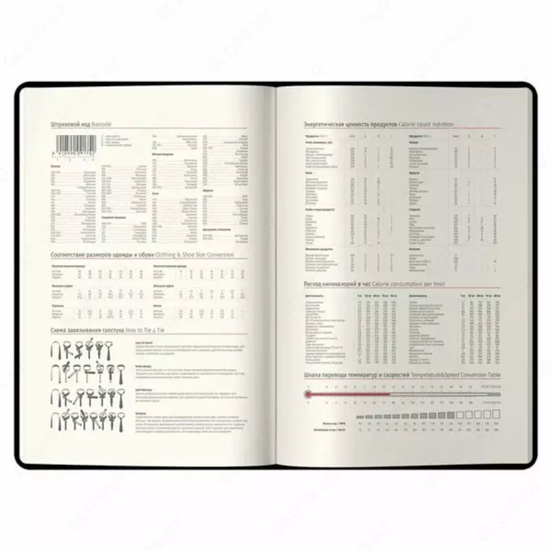   Датированный Ежедневник 2024 г. Berlingo Glow  иск. кожа  А5  184 л (Арт. - DD4_93533) Фиолетовый