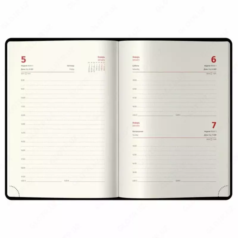   Датированный Ежедневник 2024 г. Berlingo Starlight S  иск. кожа  А5  184 л (Арт. - DD4_84502) Зеленый