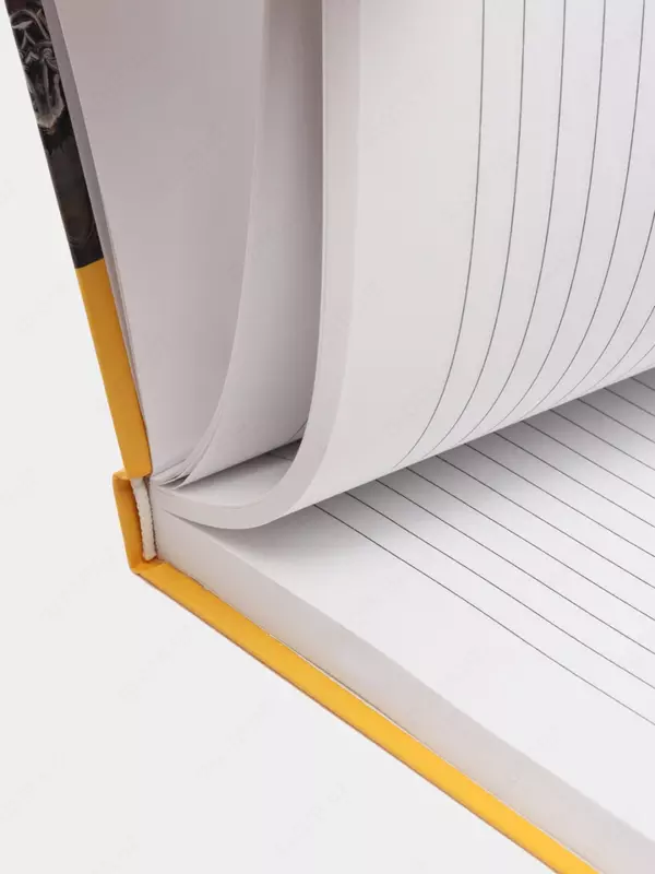  7BC BG Sarguzashtli kundalik  yaltiroq laminatsiya  A5  176 l (Art. - EN5t176_lg_9986) - 